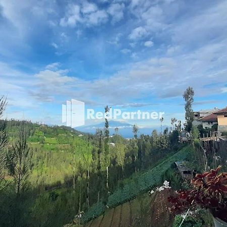 Bromo Indah Lestari Homestay Mitra Reddoorz ปาซูรูอัน ภายนอก รูปภาพ